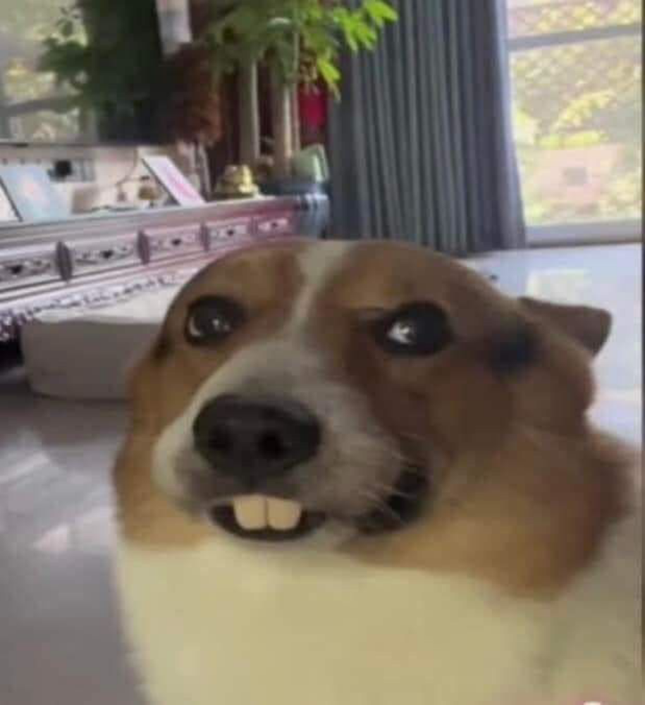 นอนต้ะ(นปก.วรนุชชี่)