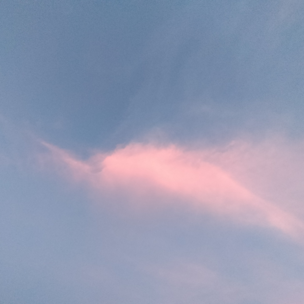 fly with grace