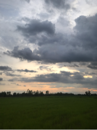 หทัยชนก