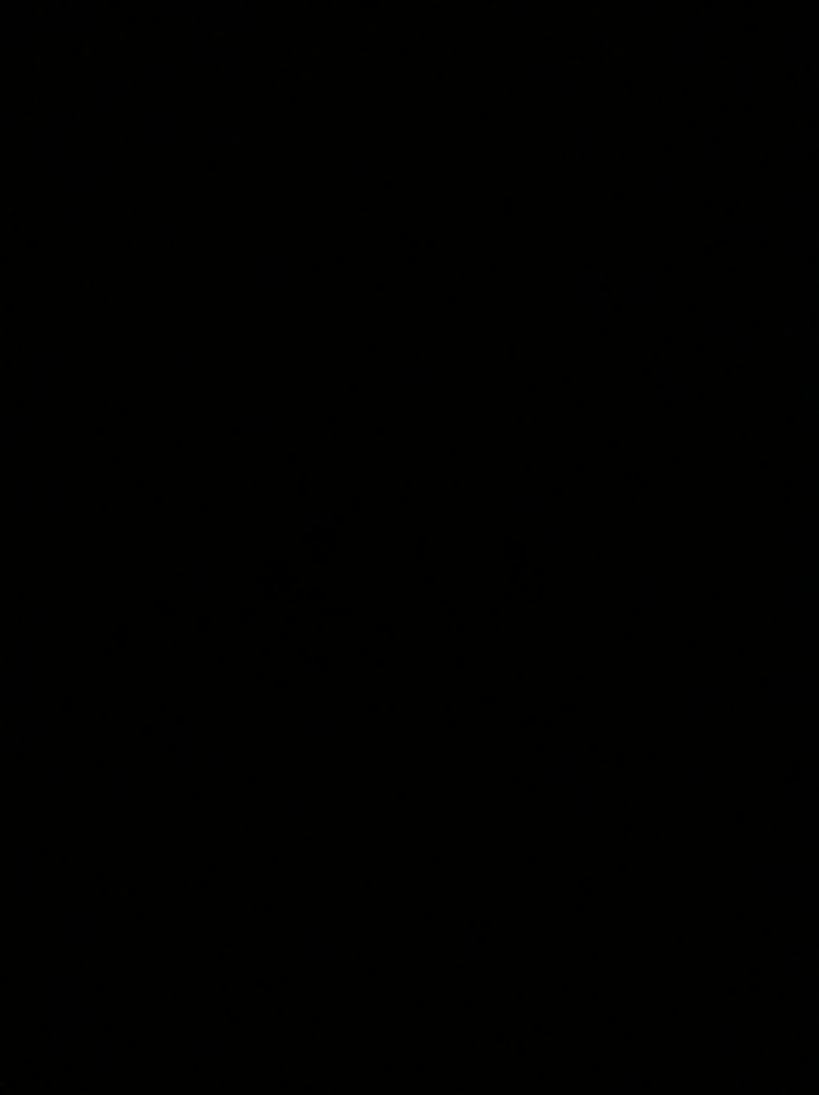 CHA