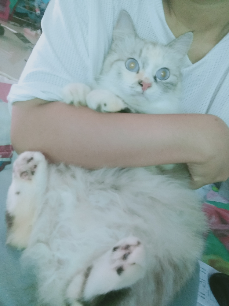 lala_li